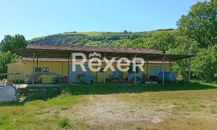 Rexer-Cellino-Attanasio-Azienda-Agricola-in-vendita-in-Contrada-Vallarora-a-Cellino-Attanasio-Altro