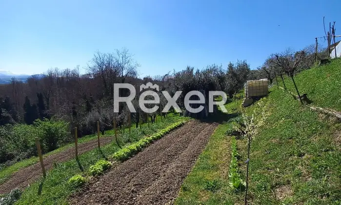 Rexer-Falerone-Casa-indipendente-ristrutturata-con-vista-panoramica-Altro