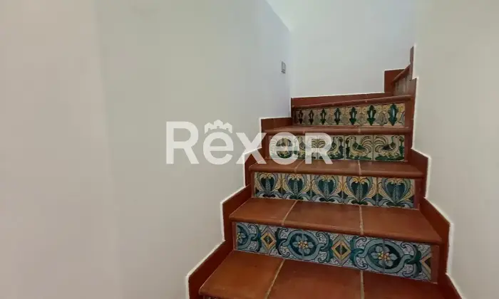 Rexer-Scilla-Terratetto-disposto-su-due-livelli-Altro