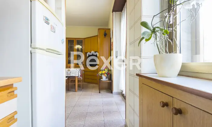 Rexer-Collegno-BILOCALE-CON-AMPIA-CANTINA-E-BOX-AUTO-Altro