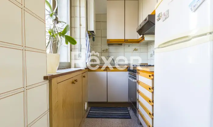 Rexer-Collegno-BILOCALE-CON-AMPIA-CANTINA-E-BOX-AUTO-Altro