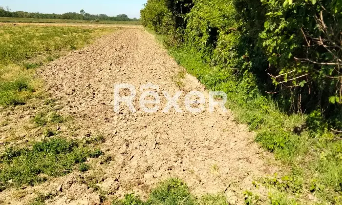 Rexer-Suardi-Vendesi-terreno-agricolo-Via-Vernaza-Suardi-PV-Altro