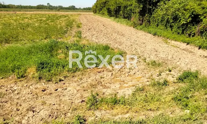 Rexer-Suardi-Vendesi-terreno-agricolo-Via-Vernaza-Suardi-PV-Altro