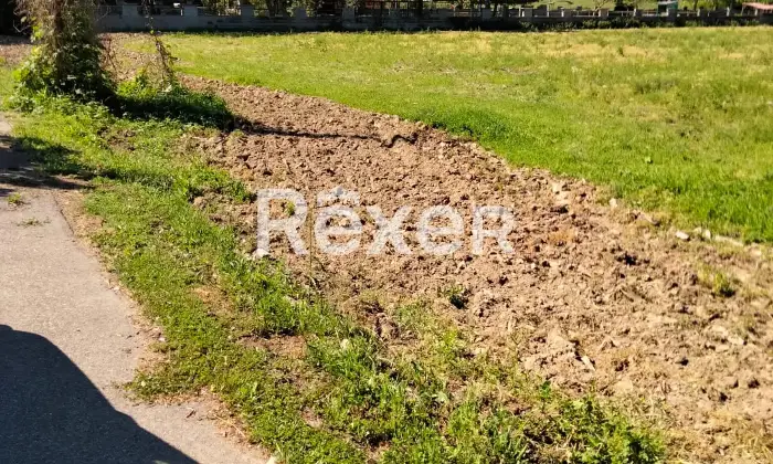 Rexer-Suardi-Vendesi-terreno-agricolo-Via-Vernaza-Suardi-PV-Altro