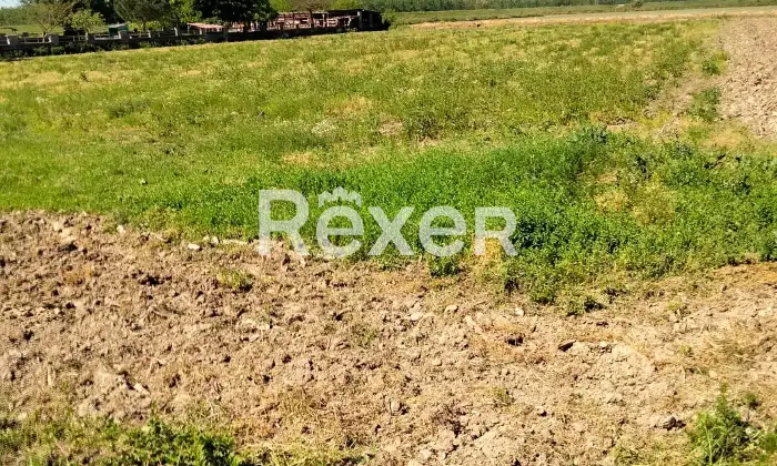 Rexer-Suardi-Vendesi-terreno-agricolo-Via-Vernaza-Suardi-PV-Altro