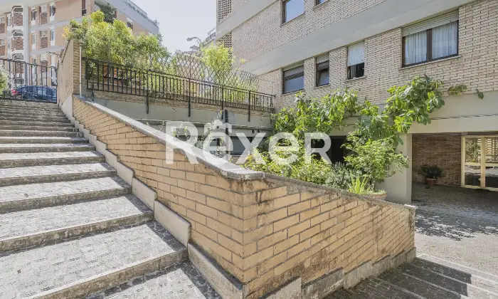 Rexer-Roma-Ampio-e-luminoso-con-tripla-esposizione-e-posto-auto-coperto-Altro