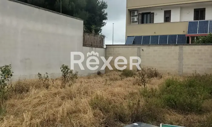 Rexer-Mesagne-Lotto-di-terreno-edificabile-a-Mesagne-Altro