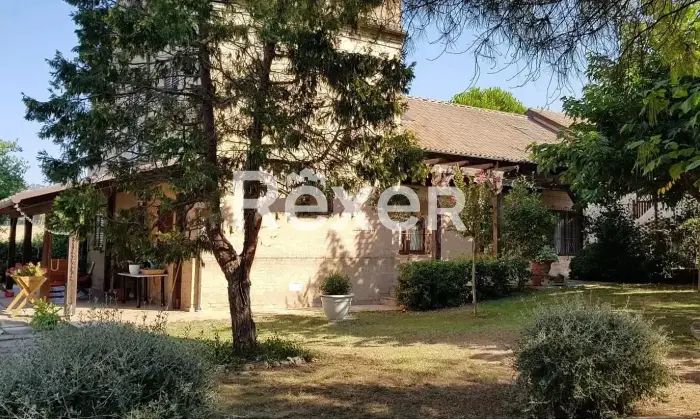 Rexer-SantElpidio-a-Mare-Propriet-rustica-in-vendita-a-SantElpidio-a-Mare-Via-Montegranarese-Altro