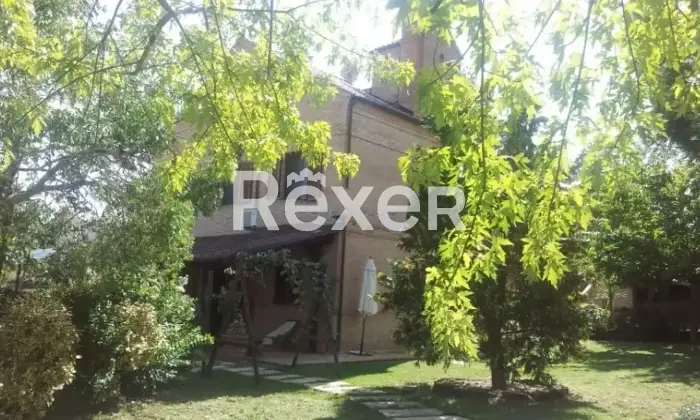 Rexer-SantElpidio-a-Mare-Propriet-rustica-in-vendita-a-SantElpidio-a-Mare-Via-Montegranarese-Altro