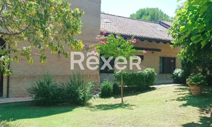 Rexer-SantElpidio-a-Mare-Propriet-rustica-in-vendita-a-SantElpidio-a-Mare-Via-Montegranarese-Altro