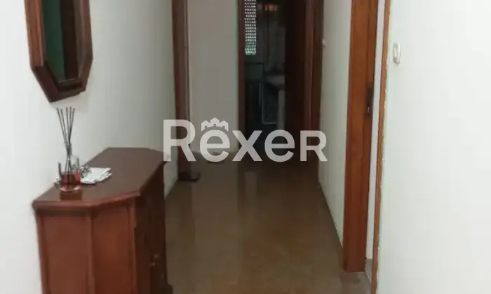 Rexer-Canino-Vendesi-appartamenti-indipendenti-in-Via-Guido-Caratelli-a-Canino-Altro