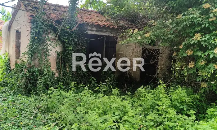 Rexer-Fiesso-Umbertiano-Rustico-in-vendita-in-Via-Carpana-a-Fiesso-Umbertiano-Altro