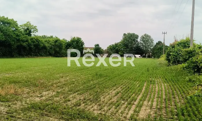 Rexer-Fiesso-Umbertiano-Rustico-in-vendita-in-Via-Carpana-a-Fiesso-Umbertiano-Altro