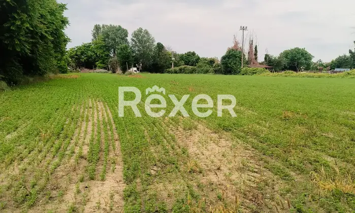 Rexer-Fiesso-Umbertiano-Rustico-in-vendita-in-Via-Carpana-a-Fiesso-Umbertiano-Altro