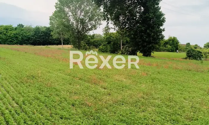 Rexer-Fiesso-Umbertiano-Rustico-in-vendita-in-Via-Carpana-a-Fiesso-Umbertiano-Altro