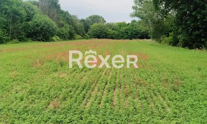 Rexer-Fiesso-Umbertiano-Rustico-in-vendita-in-Via-Carpana-a-Fiesso-Umbertiano-Altro