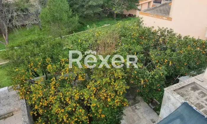 Rexer-Cannole-Casa-indipendente-in-vendita-in-Giuseppe-Villani-a-Cannole-Altro