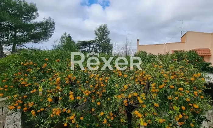 Rexer-Cannole-Casa-indipendente-in-vendita-in-Giuseppe-Villani-a-Cannole-Altro