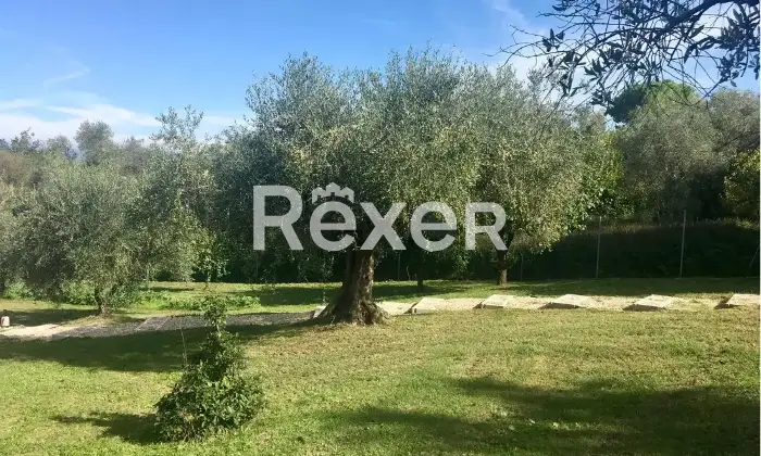 Rexer-Senigallia-Masseria-in-vendita-in-Str-di-Scalzadonne-a-Senigallia-Altro