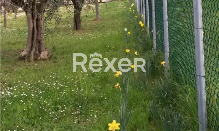 Rexer-Senigallia-Masseria-in-vendita-in-Str-di-Scalzadonne-a-Senigallia-Altro