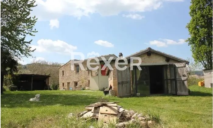 Rexer-Rotella-Propriet-rustica-in-vendita-in-Contrada-Torbidello-Rotella-Altro