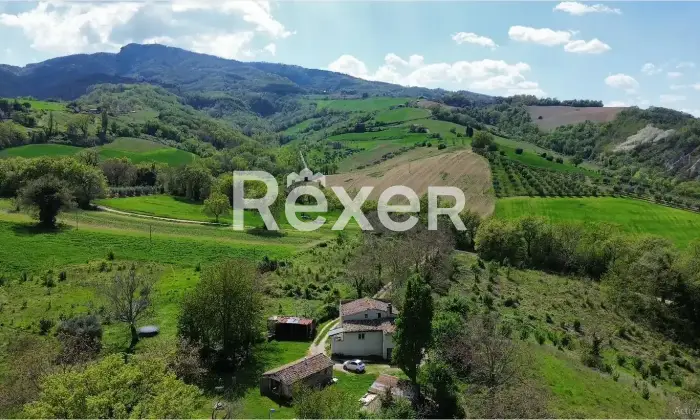 Rexer-Rotella-Propriet-rustica-in-vendita-in-Contrada-Torbidello-a-Rotella-Altro