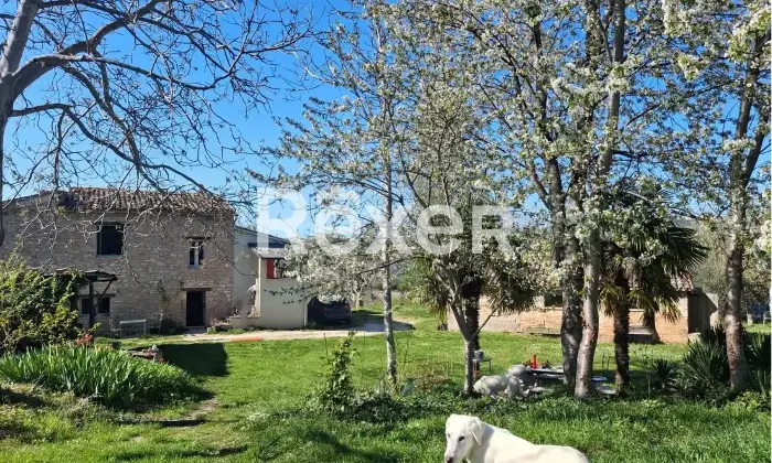 Rexer-Rotella-Propriet-rustica-in-vendita-in-Contrada-Torbidello-a-Rotella-Altro