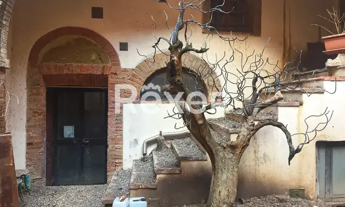Rexer-Torrita-di-Siena-Palazzo-in-vendita-in-Via-Ottavio-Maestri-a-Torrita-di-Siena-Altro