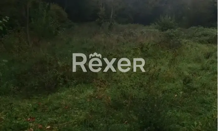 Rexer-Cimbergo-Casa-di-paese-in-vendita-in-Via-Guglielmo-Marconi-a-Cimbergo-Altro