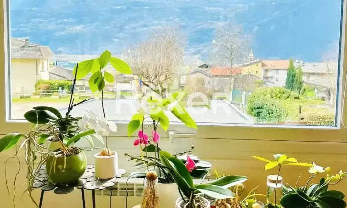 Rexer-Talamona-Grande-appartamento-in-vendita-a-Talamona-Altro