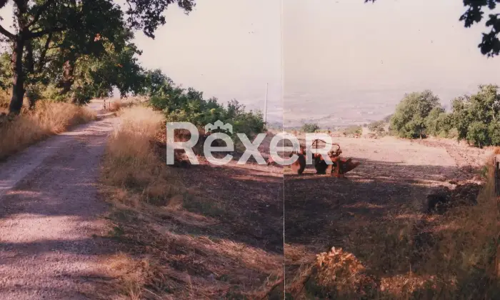 Rexer-Capaccio-Paestum-Rustico-in-costruzione-in-terreno-panoramico-Terrazzo