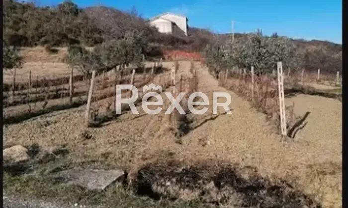Rexer-Agnone-Casa-di-campagna-in-vendita-in-Contrada-Marangoni-ad-Agnone-Altro