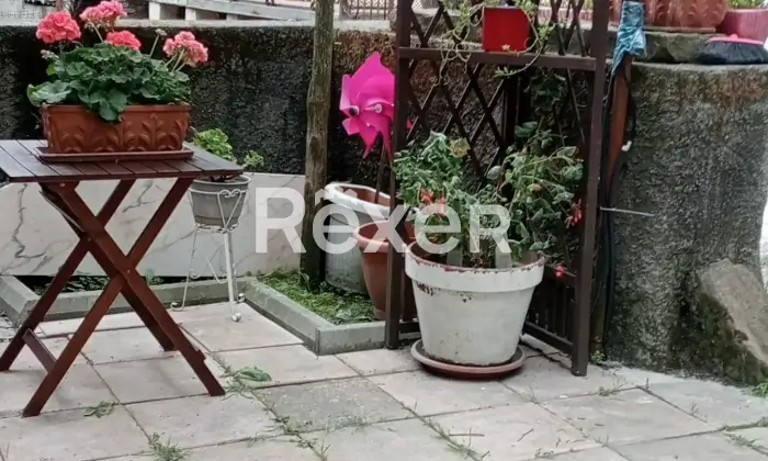 Rexer-Bosio-Casa-tipica-ligure-indipendente-su-lati-con-cortile-privato-Cortile