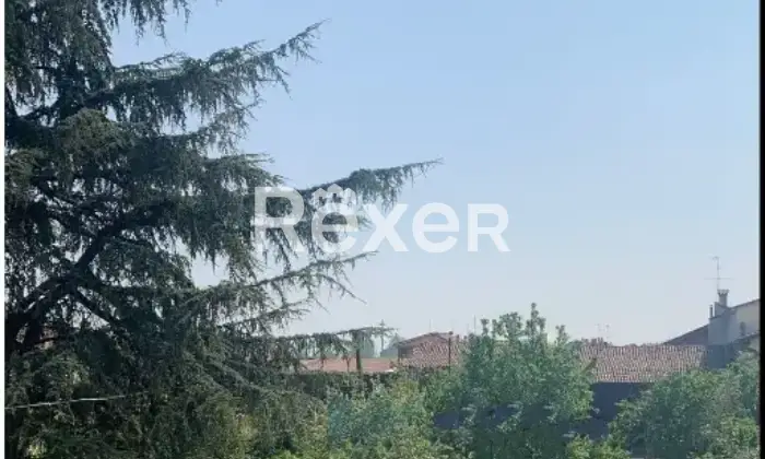 Rexer-Castelnuovo-Scrivia-Immobile-in-vendita-in-via-Roma-a-Castelnuovo-Scrivia-Altro