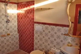 Rexer-Viterbo-Monolocale-con-terrazza-a-Viterbo-BAGNO