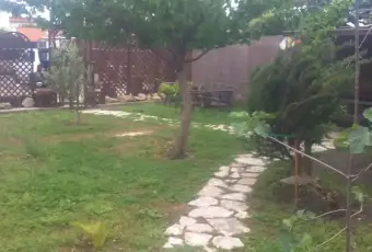 Rexer-Fiumicino-Dependance-a-Fiumicino-brevi-periodi-GIARDINO