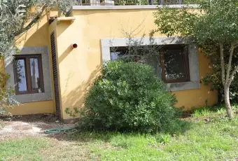 Rexer-Viterbo-Appartamento-a-Viterbo-GIARDINO