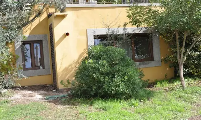 Rexer-Viterbo-Appartamento-a-Viterbo-GIARDINO