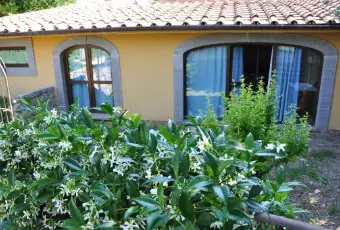 Rexer-Viterbo-Appartamento-Superior-a-Viterbo-ALTRO