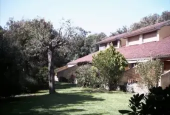 Rexer-Castiglione-della-Pescaia-Appartamento-a-Castiglione-della-Pescaia-GIARDINO