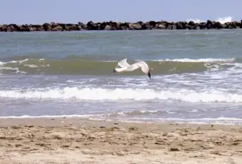 Rexer-Comacchio-Bilocale-a-Lido-di-Spina-ALTRO