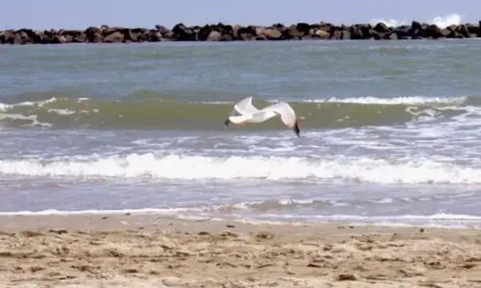 Rexer-Comacchio-Bilocale-a-Lido-di-Spina-ALTRO