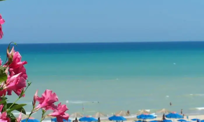 Rexer-Venezia-Appartamento-sul-mare-ALTRO