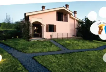 Rexer-Bracciano-Bed-and-Breakfast-sul-lago-di-Bracciano-ALTRO