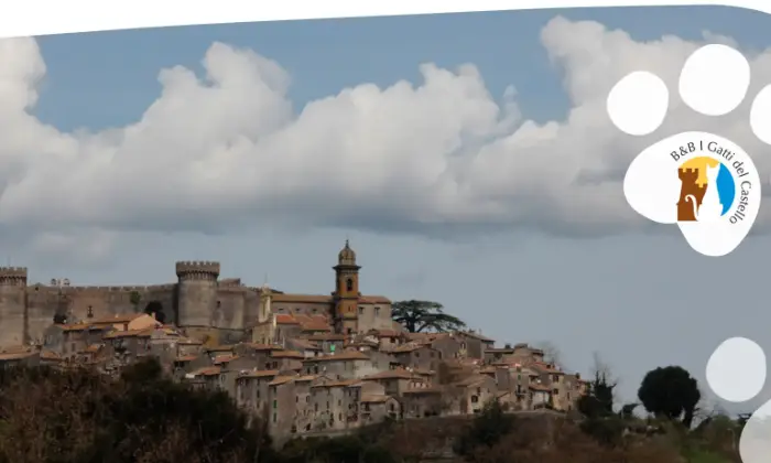 Rexer-Bracciano-Bed-and-Breakfast-sul-lago-di-Bracciano-ALTRO