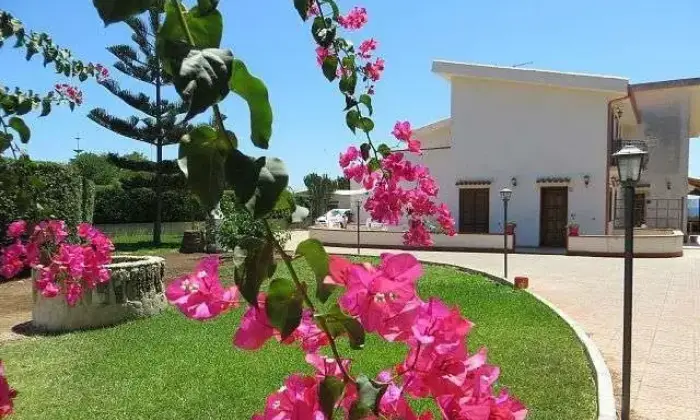 Rexer-Siracusa-Affitto-Villa-Siracusa-GIARDINO