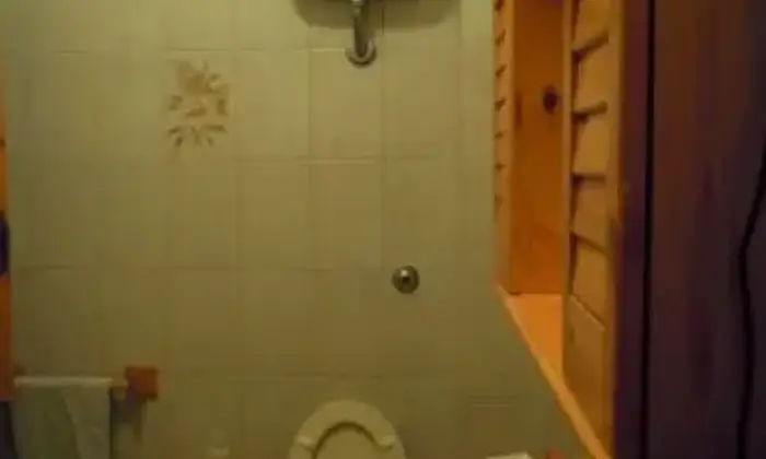 Rexer-Ardea-Mesi-estivi-luglio-agosto-BAGNO