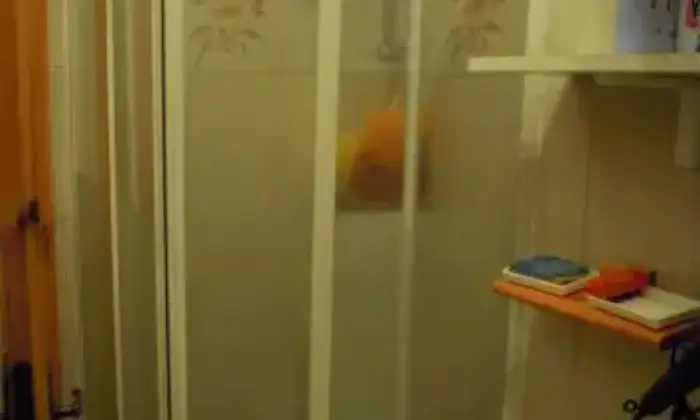 Rexer-Ardea-Mesi-estivi-luglio-agosto-BAGNO