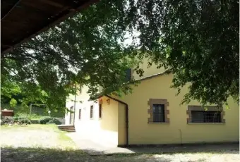 Rexer-Terni-Casale-Montenero-in-affittto-ALTRO