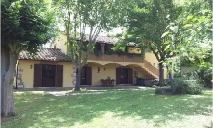 Rexer-Terni-Casale-Montenero-in-affittto-GIARDINO
